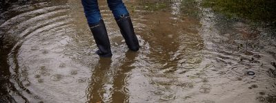 flood insurance Alpharetta GA